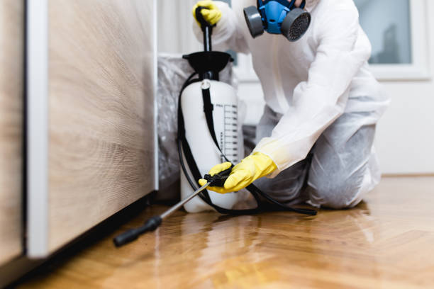 Wasp Removal Services in Tualatin, OR