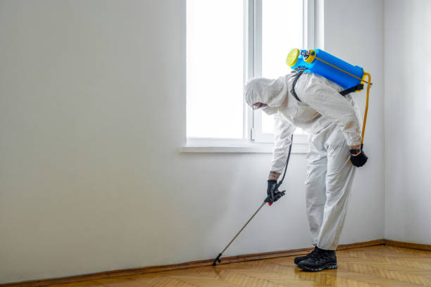 Best Mosquito Control Services  in Tualatin, OR